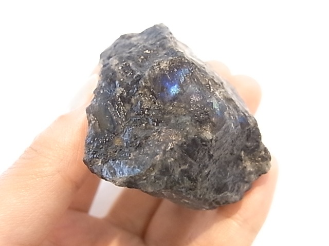 GA0008F �ե�����ɻ� ���ڥ��ȥ��饤�� ����