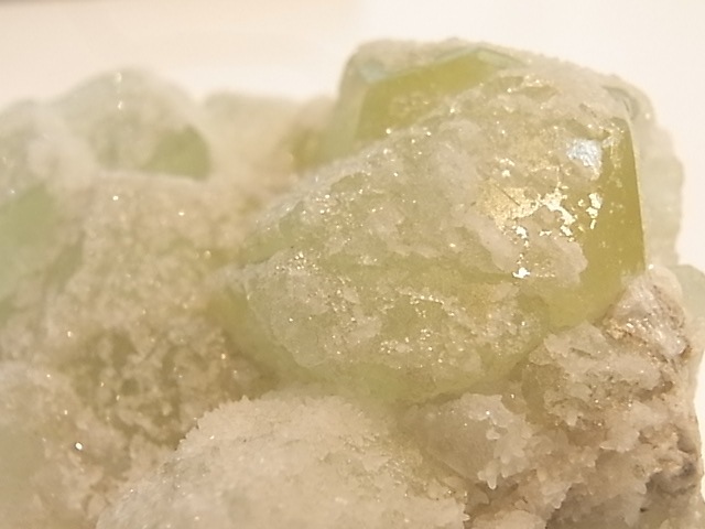 GA00053F���ɥ��롼�����ե����饤�� ����