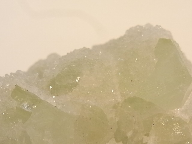 GA00054F���ɥ��롼�����ե����饤�� ����