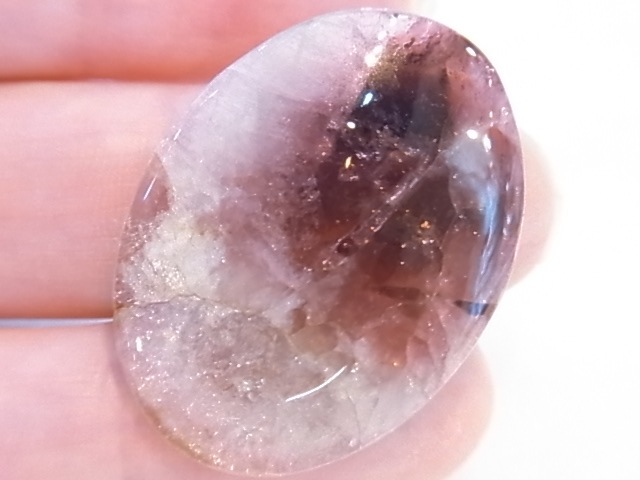 PAJ0007F �ȥ�ޥ�󡡥롼���ʥ���������