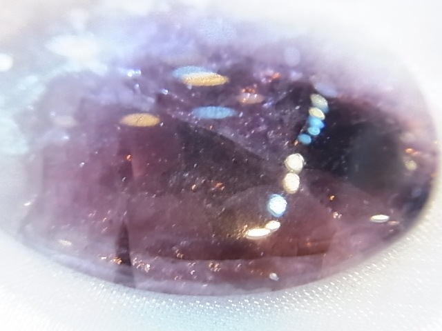 PAJ0007F �ȥ�ޥ�󡡥롼���ʥ���������