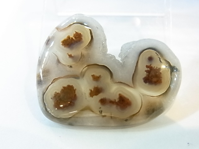 GKM0011F�����塼�֥������ȡ��ݥ�å���