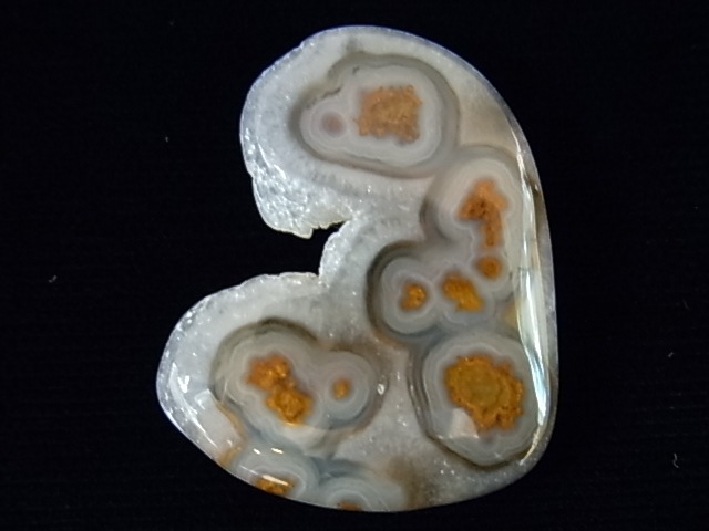 GKM0011F�����塼�֥������ȡ��ݥ�å���