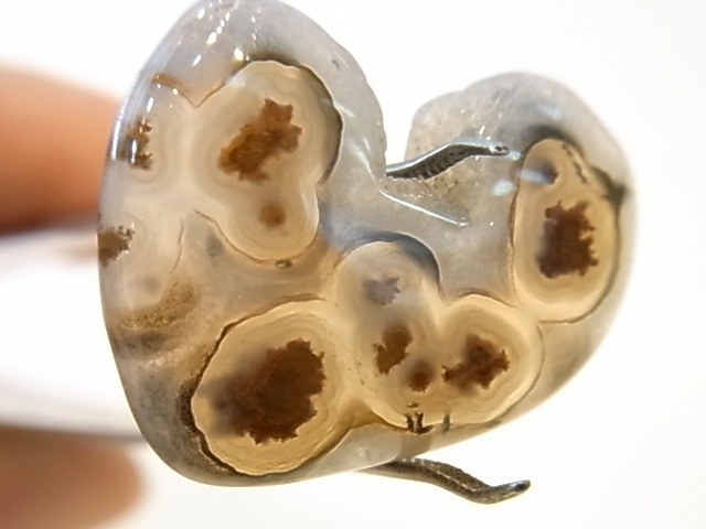 GKM0011F�����塼�֥������ȡ��ݥ�å���