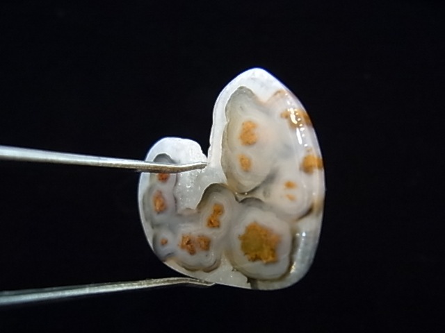 GKM0011F�����塼�֥������ȡ��ݥ�å���