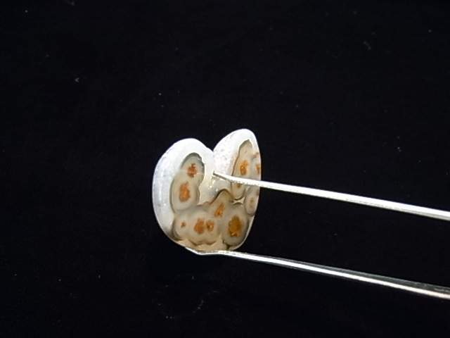 GKM0011F�����塼�֥������ȡ��ݥ�å���