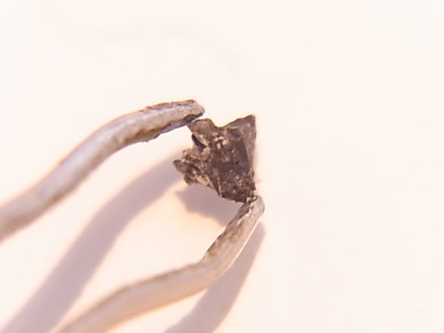 GA00062F��Moon Rock�������