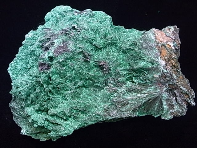 GA00011K���ޥ饫���ȡ����󥴻�������