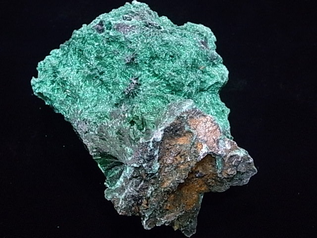 GA00011K���ޥ饫���ȡ����󥴻�������