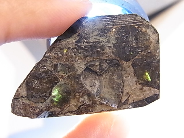 GA00116F���ѥ饵���ȡʥ�ƥ��饤�ȡ� ���С������饤�ʻ�