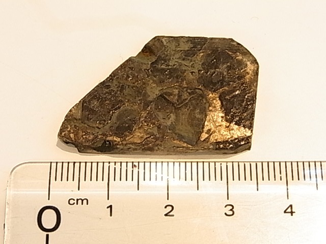 GA00116F���ѥ饵���ȡʥ�ƥ��饤�ȡ� ���С������饤�ʻ�