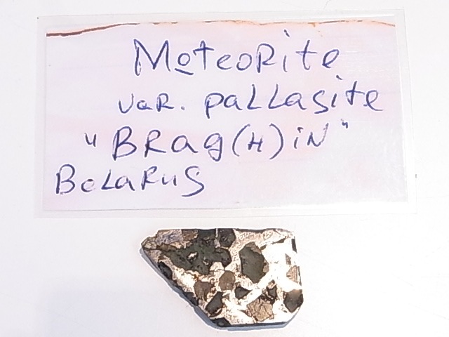 GA00116F���ѥ饵���ȡʥ�ƥ��饤�ȡ� ���С������饤�ʻ�