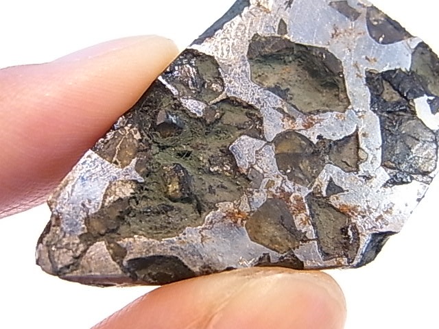 GA00116F パラサイト（メテオライト） 原石 ウクライナ産 | 新着商品