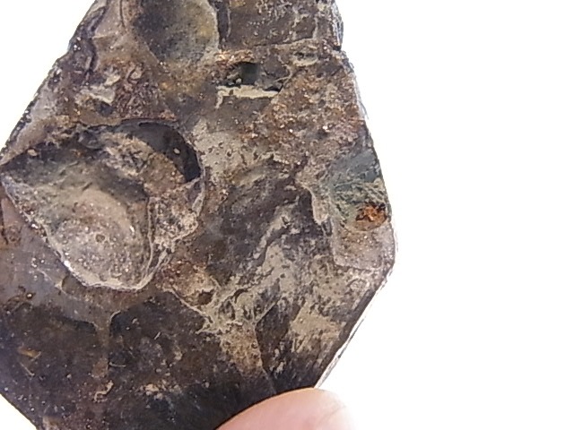 GA00116F���ѥ饵���ȡʥ�ƥ��饤�ȡ� ���С������饤�ʻ�