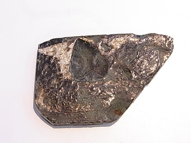 GA00116F���ѥ饵���ȡʥ�ƥ��饤�ȡ� ���С������饤�ʻ�