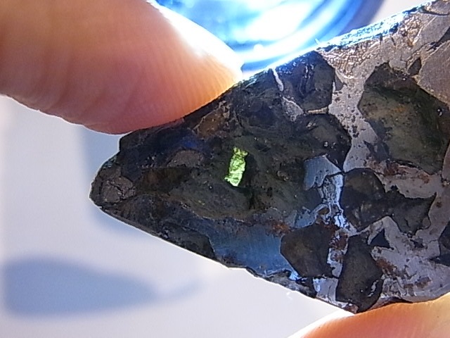 GA00116F���ѥ饵���ȡʥ�ƥ��饤�ȡ� ���С������饤�ʻ�