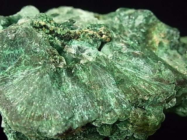 GA00012K���ޥ饫���ȡ����󥴻�������