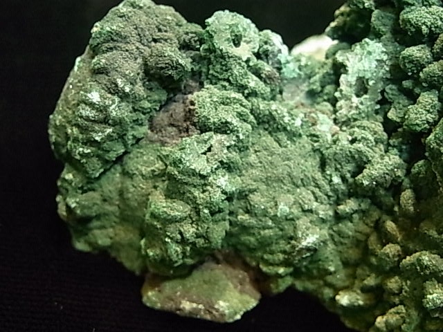 GA00012K���ޥ饫���ȡ����󥴻�������