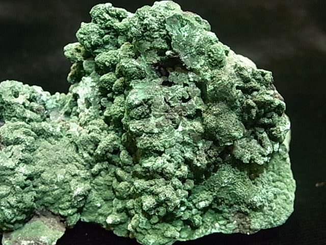 GA00012K���ޥ饫���ȡ����󥴻�������