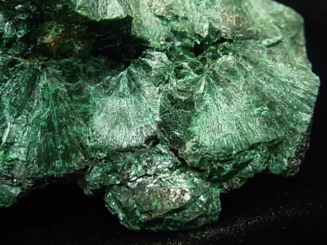 GA00012K���ޥ饫���ȡ����󥴻�������