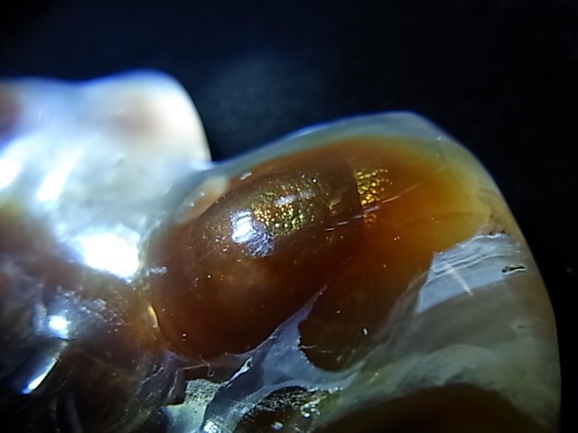 GKM0016F���ե����䡼�������ȡ��ݥ�å���