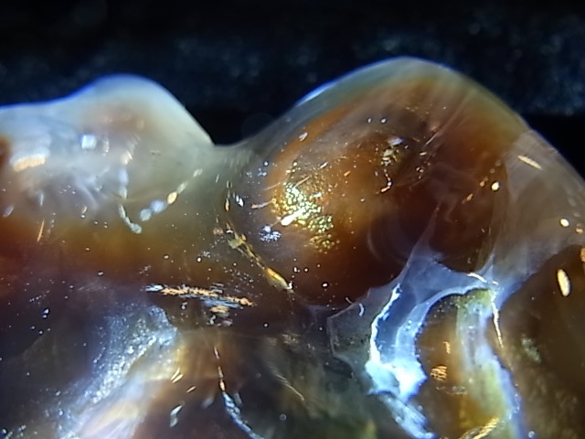 GKM0016F���ե����䡼�������ȡ��ݥ�å���