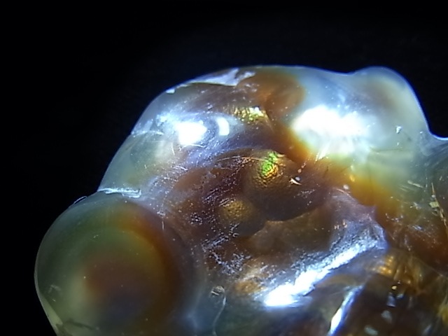 GKM0016F���ե����䡼�������ȡ��ݥ�å���