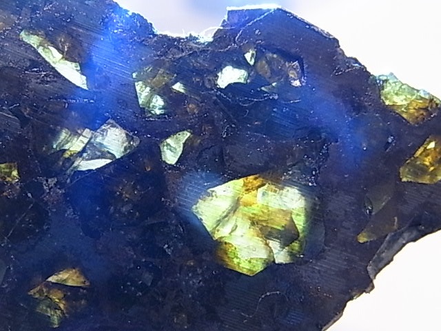 GA00117F���ѥ饵���ȡʥ�ƥ��饤�ȡ� ���С������饤�ʻ�
