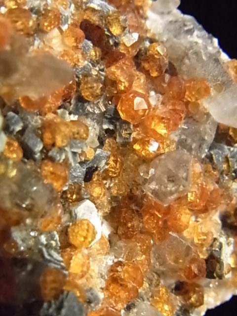 �ǣˣ�0017�ơ����ڥ��륿���ȥ����ͥåȡ����⡼�����������ġ��ޥ���������