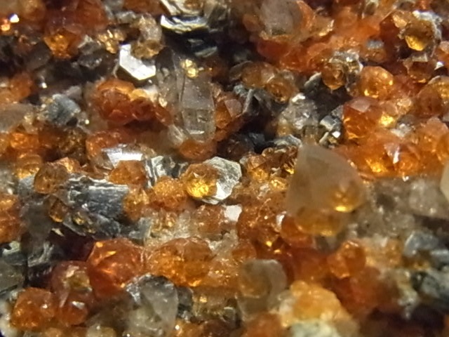 �ǣˣ�0017�ơ����ڥ��륿���ȥ����ͥåȡ����⡼�����������ġ��ޥ���������