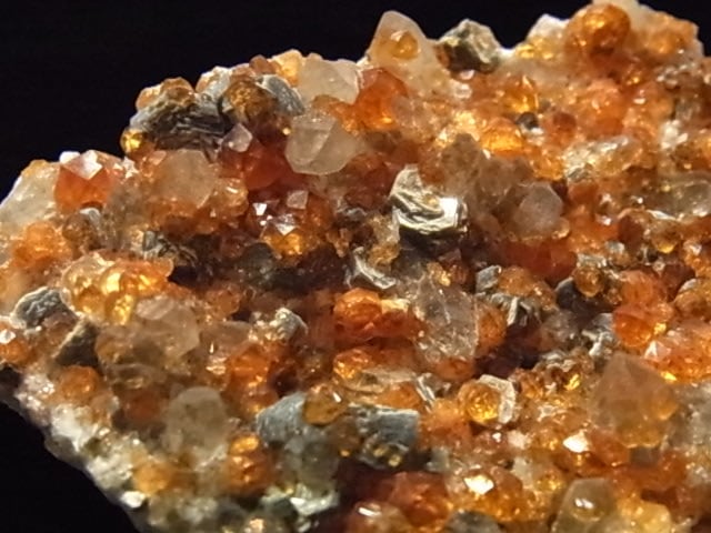 �ǣˣ�0017�ơ����ڥ��륿���ȥ����ͥåȡ����⡼�����������ġ��ޥ���������