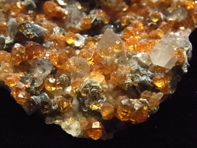 �ǣˣ�0017�ơ����ڥ��륿���ȥ����ͥåȡ����⡼�����������ġ��ޥ���������