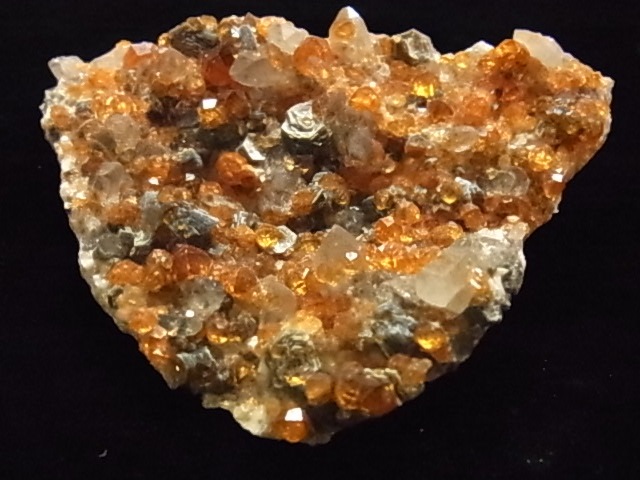 �ǣˣ�0017�ơ����ڥ��륿���ȥ����ͥåȡ����⡼�����������ġ��ޥ���������