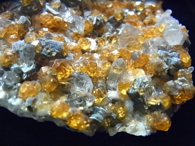 �ǣˣ�0017�ơ����ڥ��륿���ȥ����ͥåȡ����⡼�����������ġ��ޥ���������