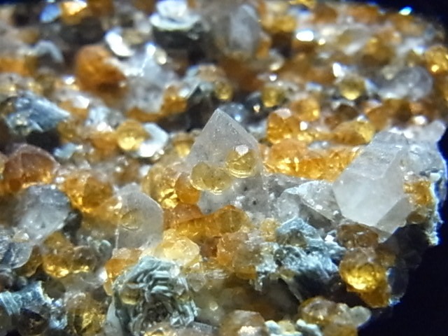 �ǣˣ�0017�ơ����ڥ��륿���ȥ����ͥåȡ����⡼�����������ġ��ޥ���������