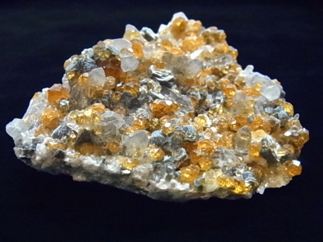 �ǣˣ�0017�ơ����ڥ��륿���ȥ����ͥåȡ����⡼�����������ġ��ޥ���������