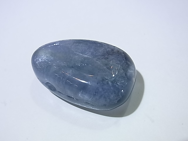 PKM0061F���֥롼�ե����饤�ȡ��ꤢ���ڥ����ȥȥå�