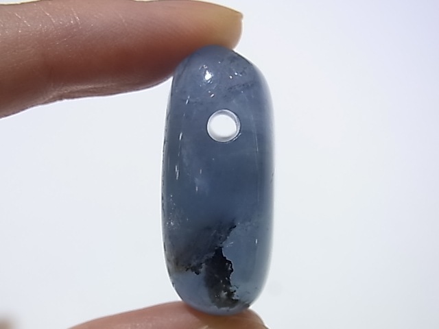 PKM0061F���֥롼�ե����饤�ȡ��ꤢ���ڥ����ȥȥå�