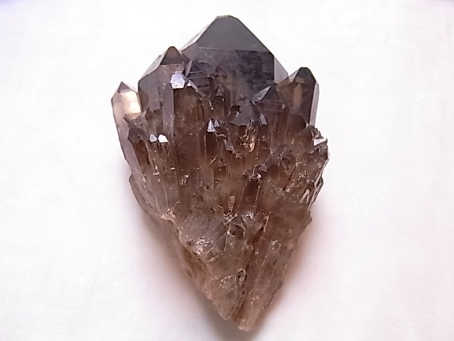 GKM0015F�����⡼�������ƥɥ�롡���Сʾ���