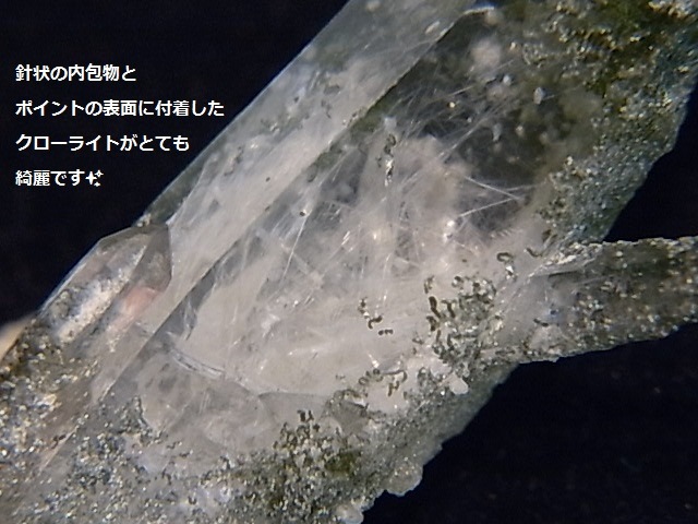 GA00068F���ҥޥ��徽�ʸ��С� ���͡�����ҥޡ��뻺