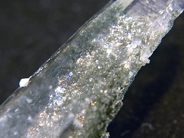 GA00068F���ҥޥ��徽�ʸ��С� ���͡�����ҥޡ��뻺