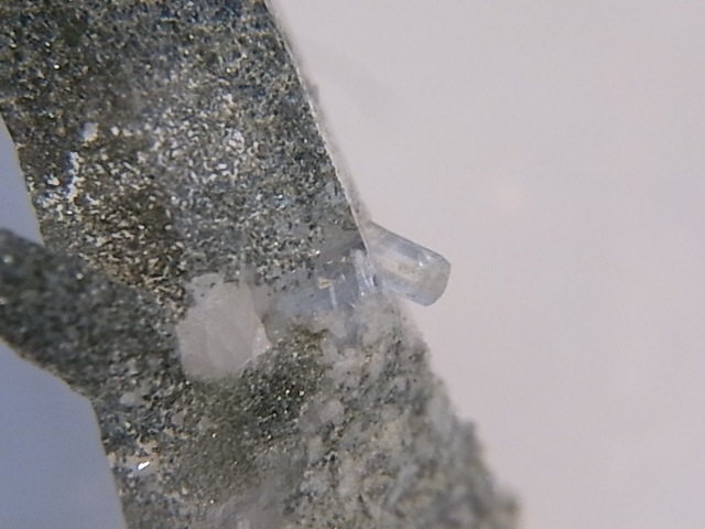 GA00068F���ҥޥ��徽�ʸ��С� ���͡�����ҥޡ��뻺
