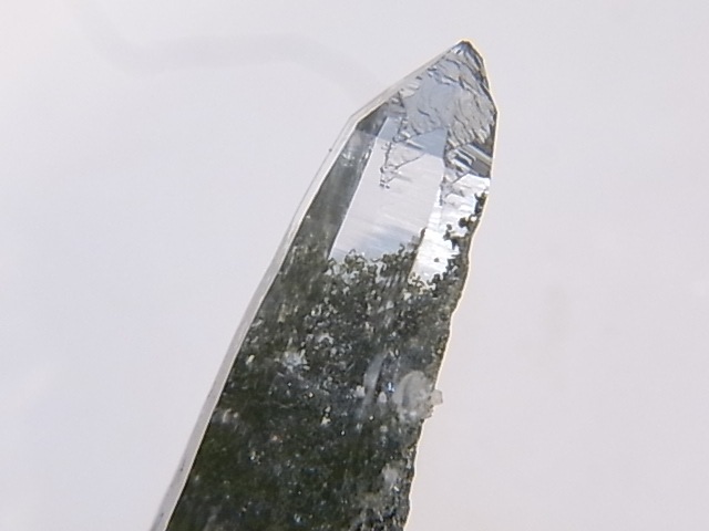 GA00068F���ҥޥ��徽�ʸ��С� ���͡�����ҥޡ��뻺
