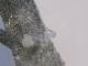 GA00068F���ҥޥ��徽�ʸ��С� ���͡�����ҥޡ��뻺