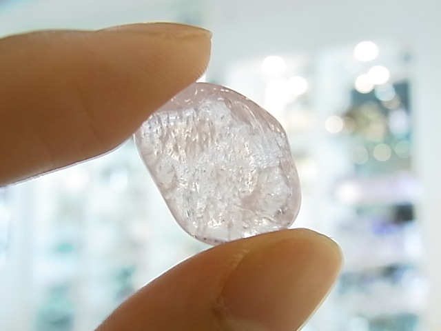 TK0003F ��륬�ʥ��ȡ�����֥�
