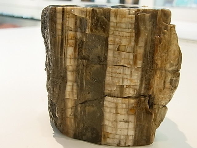 GK00015F  �ڥȥ�ե����ɥ��åɸ��С��ڴ����С�