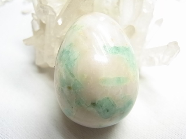 CF0007 �������