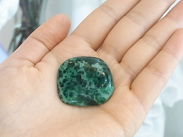 TK00012F ���������ȡ�����֥롡�ڴ����С�