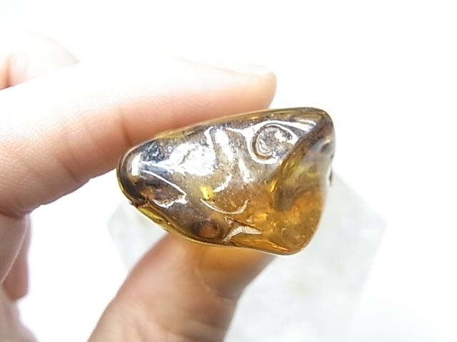 PF0089  ����С�