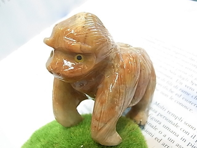 CY0021F �����ץ��ȡ���[�����]